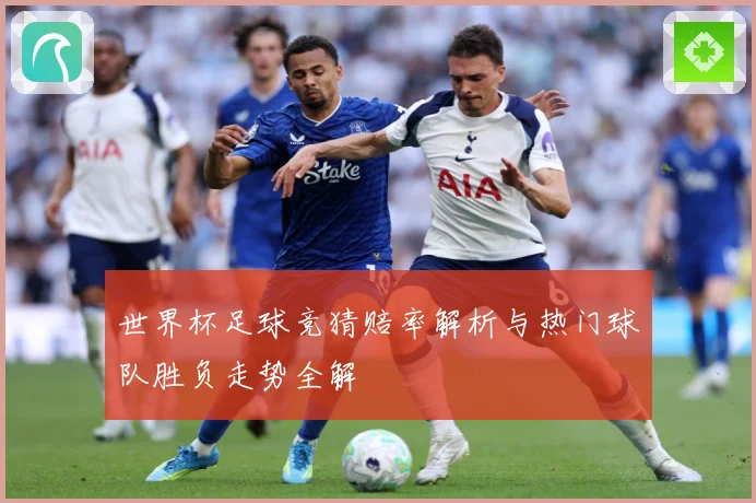 世界杯足球竞猜赔率解析与热门球队胜负走势全解