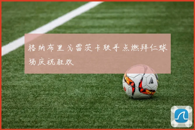 格纳布里戈雷茨卡联手点燃拜仁球场庆祝狂欢