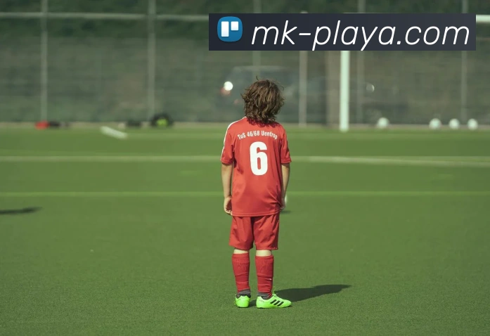 MK体育平台展示图